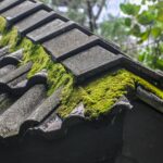 Roof Moss Removal Altrincham